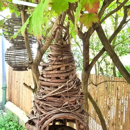 La Maison Guillaume * Falaise (Calvados)