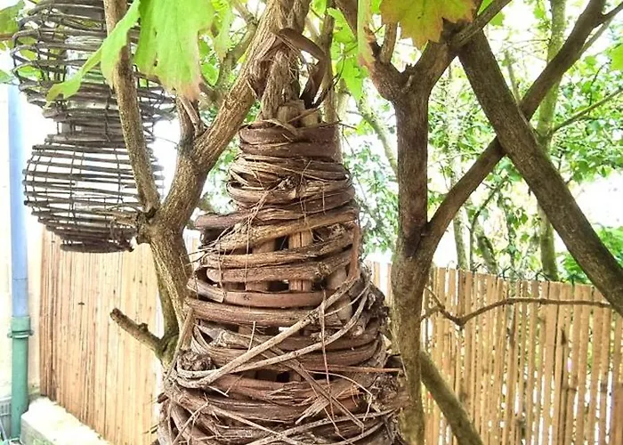 La Maison Guillaume * Falaise (Calvados)